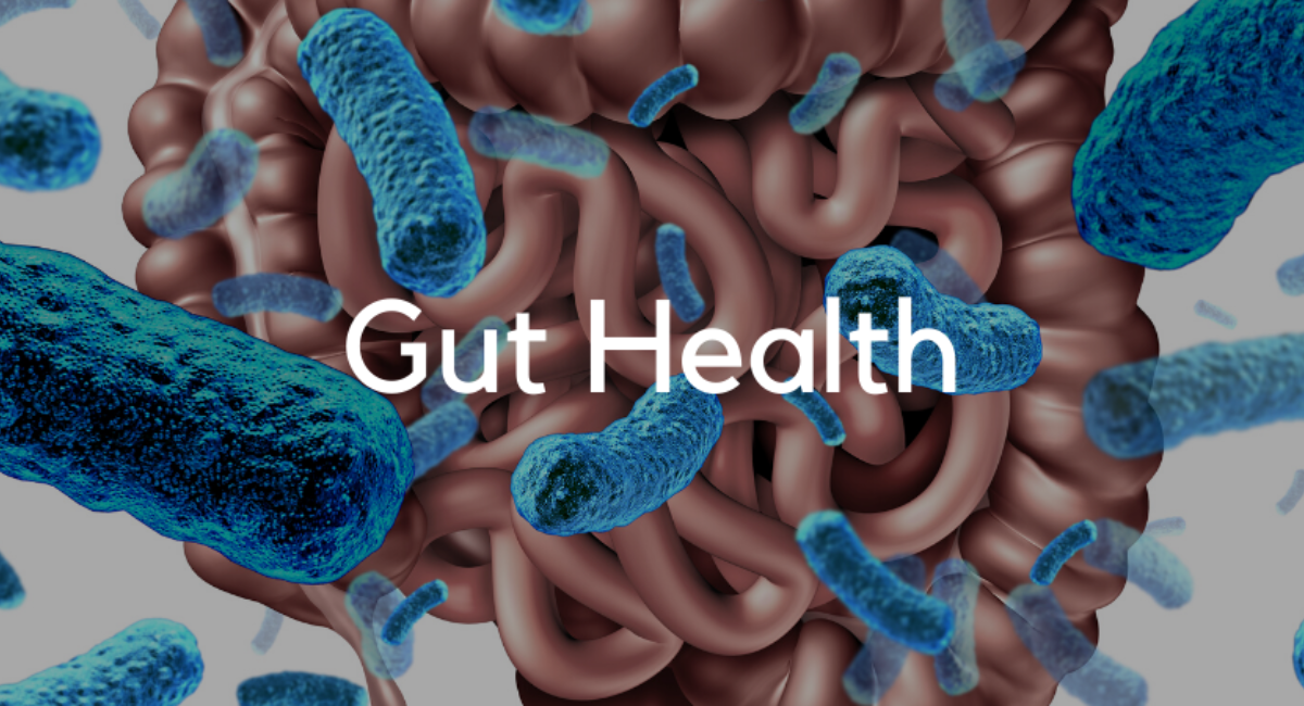 Gut Health Matters: A  Guide to Healing and Optimizing Your Digestive System